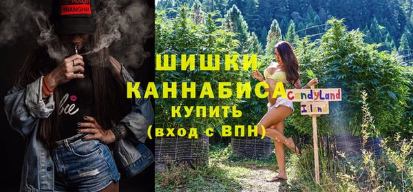 Альфа ПВП Аркадак