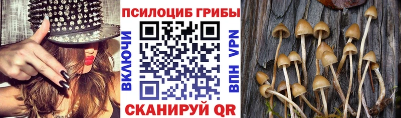 Псилоцибиновые грибы GOLDEN TEACHER  Елабуга 