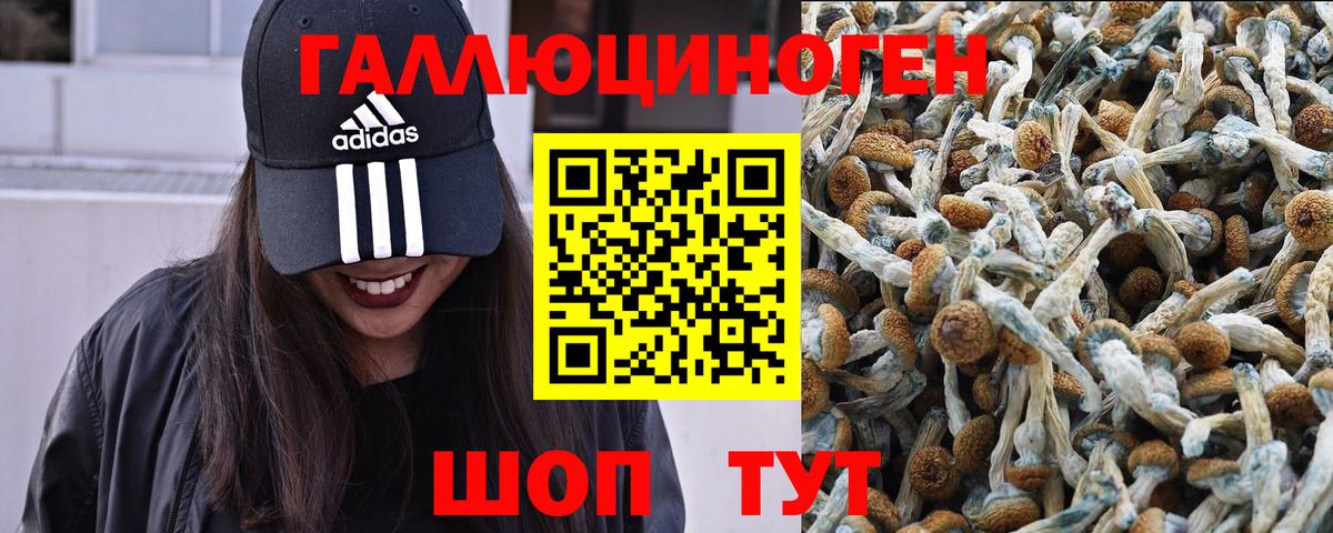 Галлюциногенные грибы Magic Shrooms  Вход с VPN  купить  цена  Галлюциногенные грибы Magic Shrooms  Елабуга 
