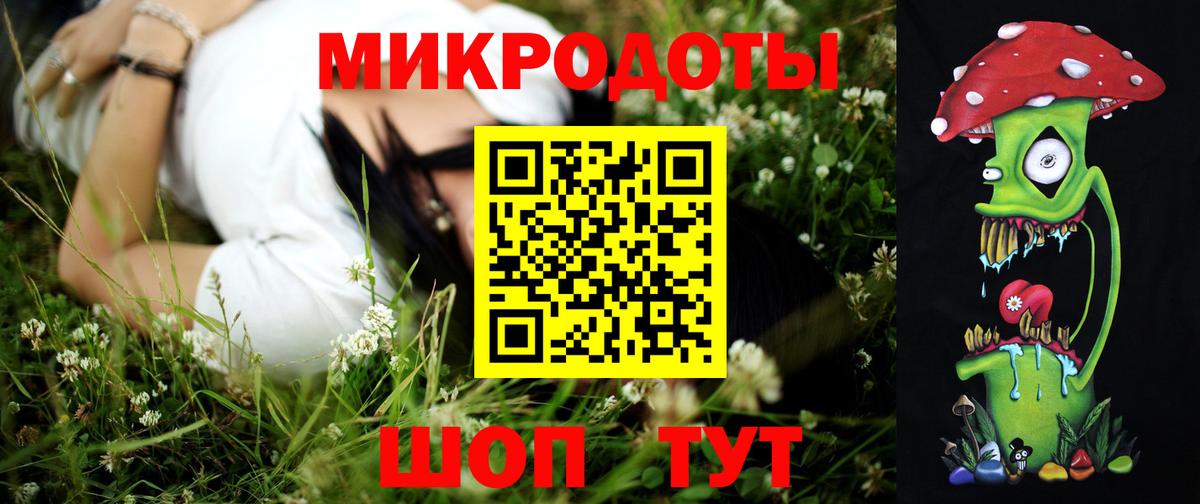 Псилоцибиновые грибы Cubensis Елабуга